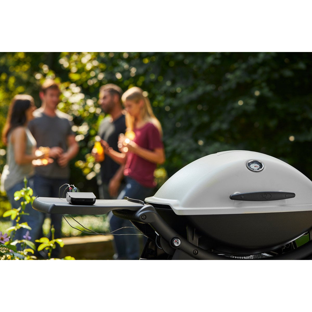 Weber Q 2200 Gasgrill