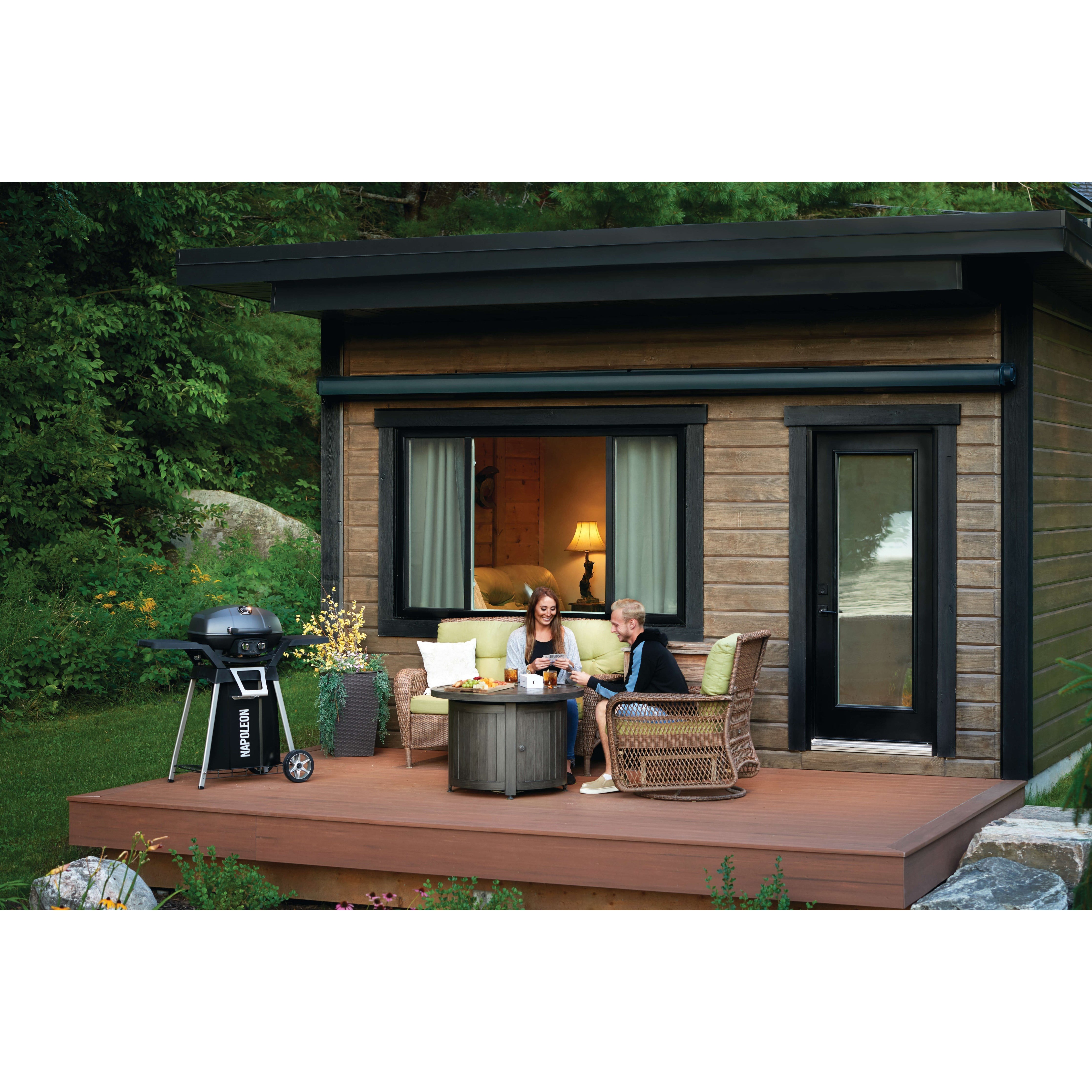 Napoleon TravelQ Pro285 Stand