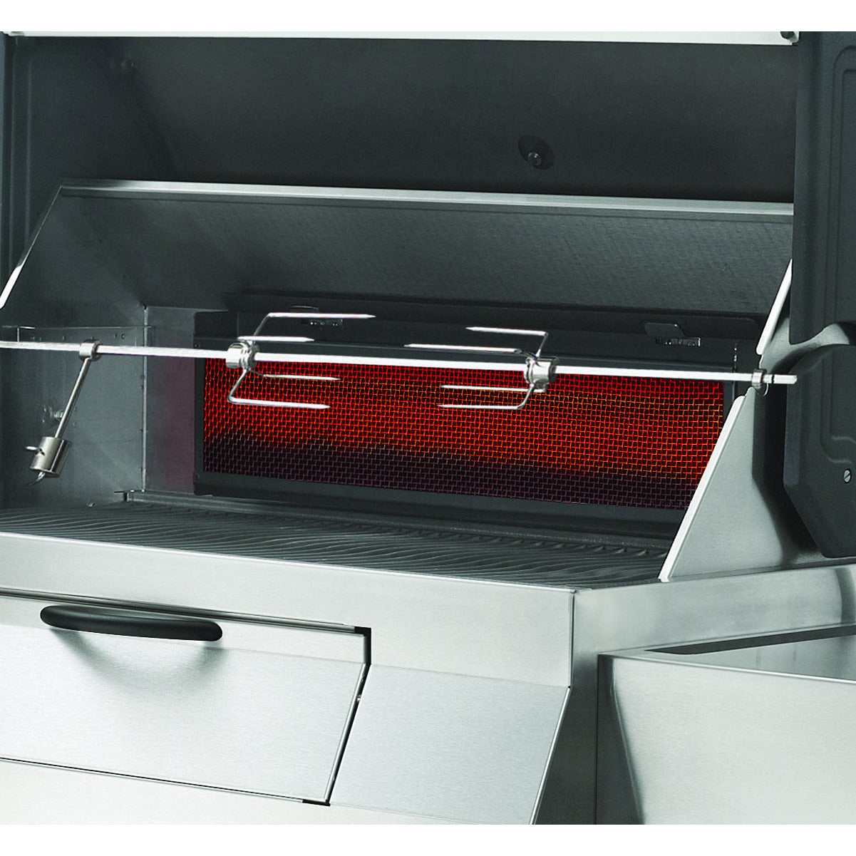 Napoleon Charcoal Professional Grill