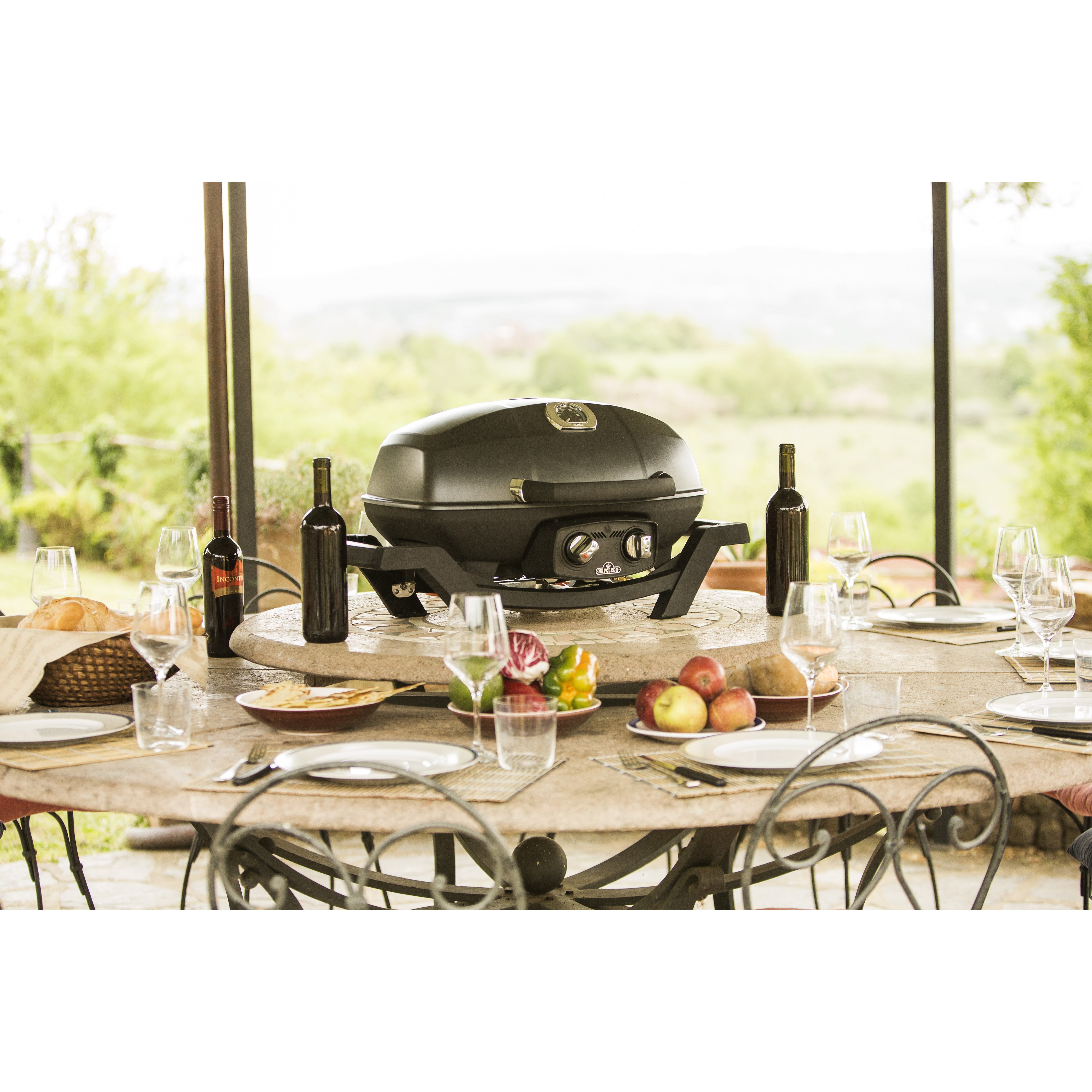 Napoleon TravelQ PRO285 Portable Gas Grill - Black